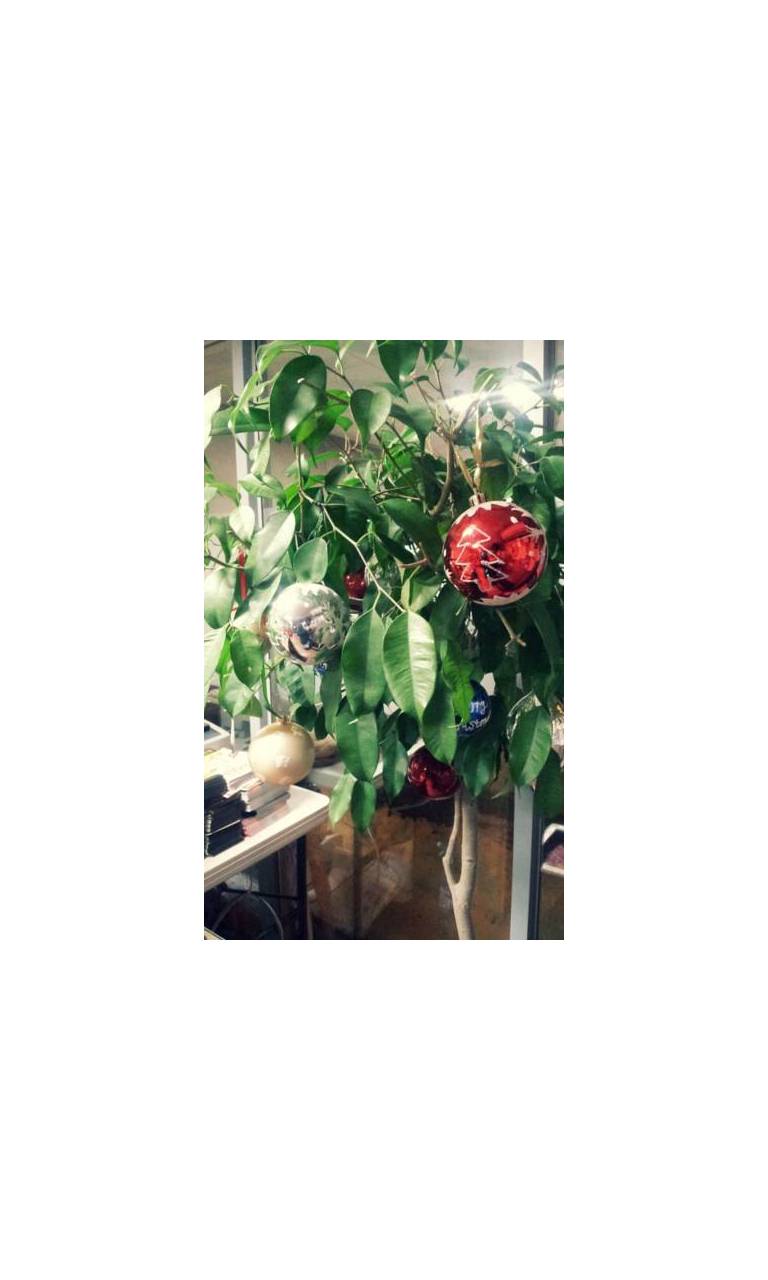2nville Guesthouse 