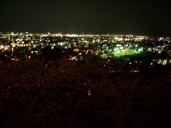 Toyama Kanko Hotel  3* Япония, Тояма