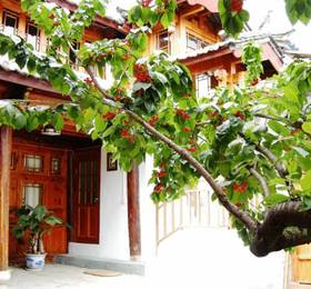 Туры в Petit Lijiang Inn  в Китае