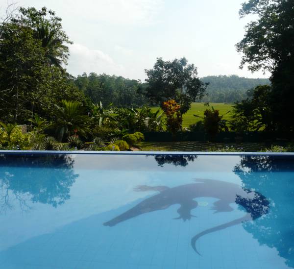 Lazy Lizard Hotel  3* Шри-Ланка, Галле
