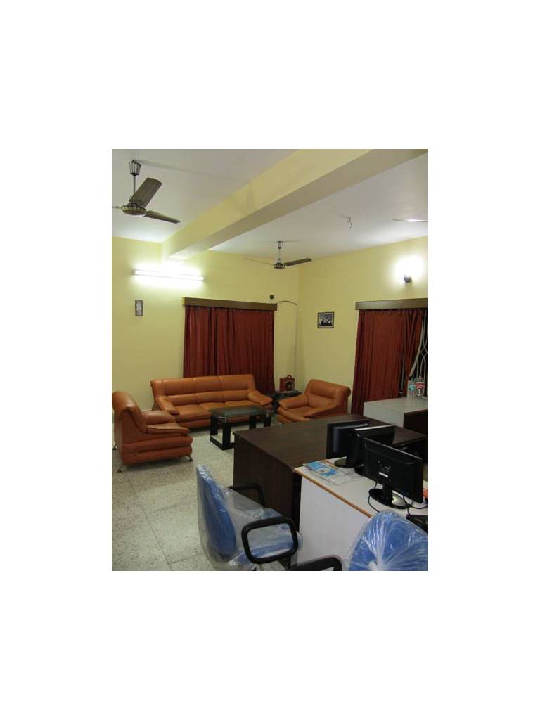 Tulip Guest House 
