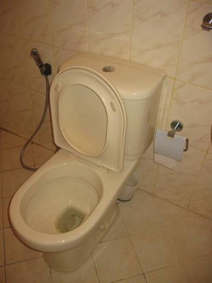 Mount House Hotel  2* Шри-Ланка, Диквелла