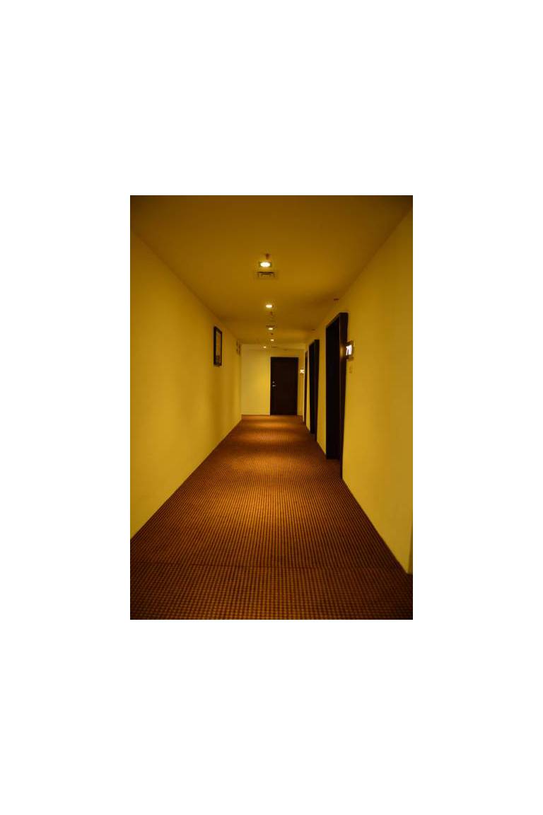 Hotel Millennium 