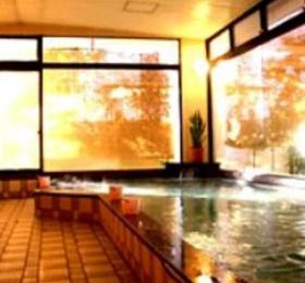 Туры в Hotel Tozankaku в Японии