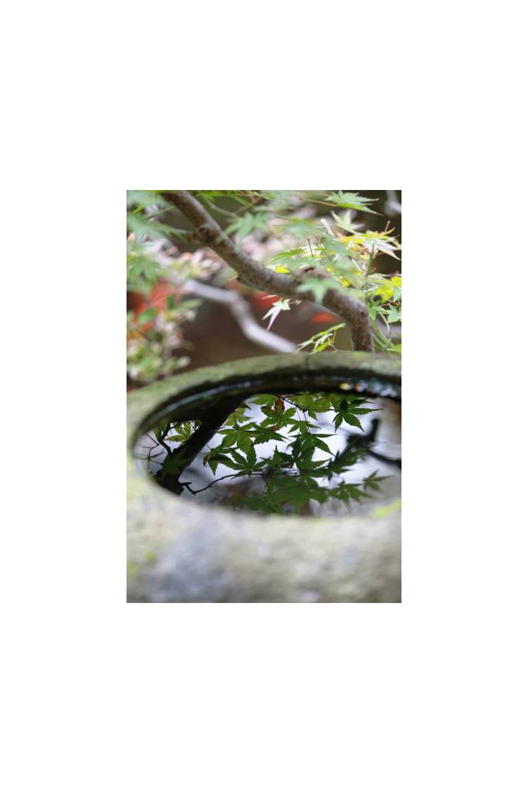 Ryokan Kaminaka 