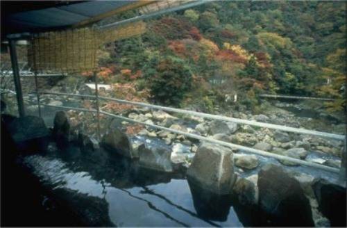 Yamatoya Hotel  2* Япония, Хаконе