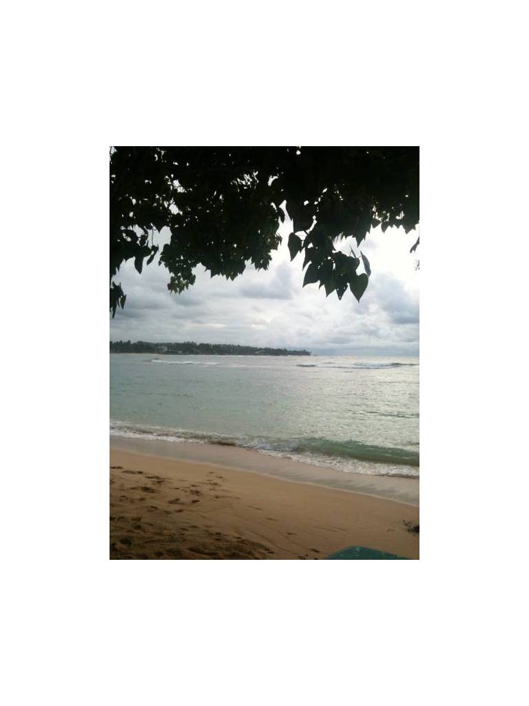 Sea View Hotel 
