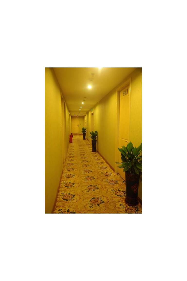 Halin Hotel 
