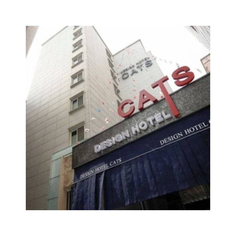 Cats Hotel 