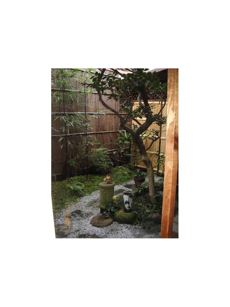 Rokoroji 