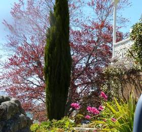 Туры в Hazel House Boutique Bed & Breakfast  в Новой Зеландии