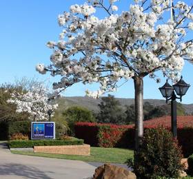 Sundowner Hume Country Motor Inn в Элбэри