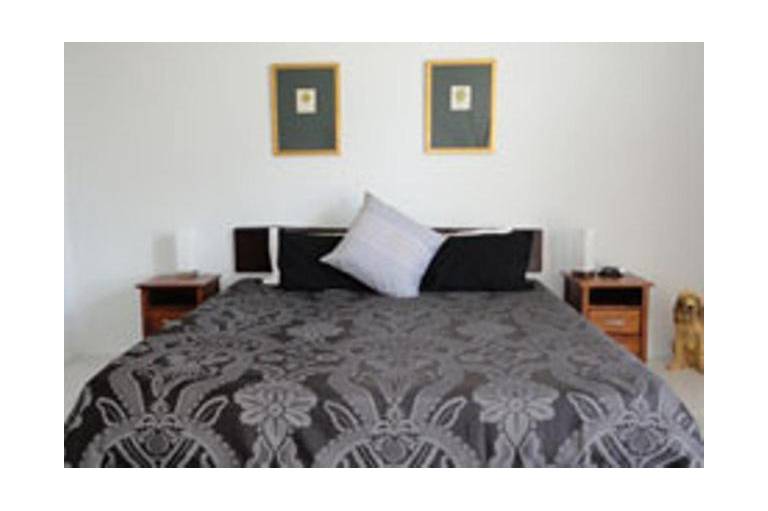 Daintree Wild Bed & Breakfast