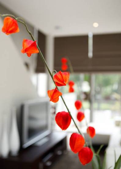 Apartments by Nagee Canberra 5* Австралия, Канберра