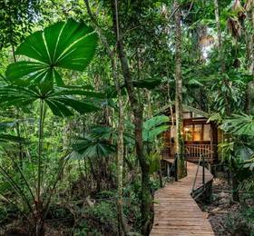 Туры в Daintree Wilderness Lodge в Австралии