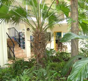 Villa Vaucluse Apartments в Кэрнсе