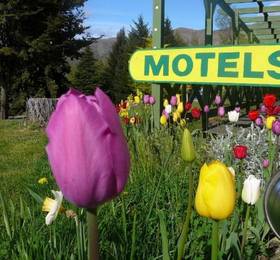 Туры в Archway Motels & Chalets  в Новой Зеландии