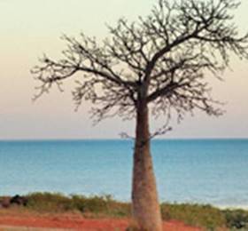 Туры в Old Broome Guest House  в Австралии