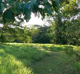 Туры в Daintree Valley Haven в Австралии