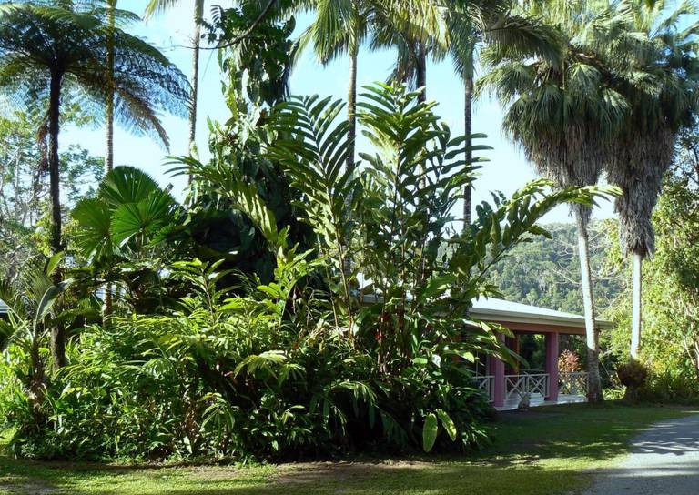 Daintree Valley Haven