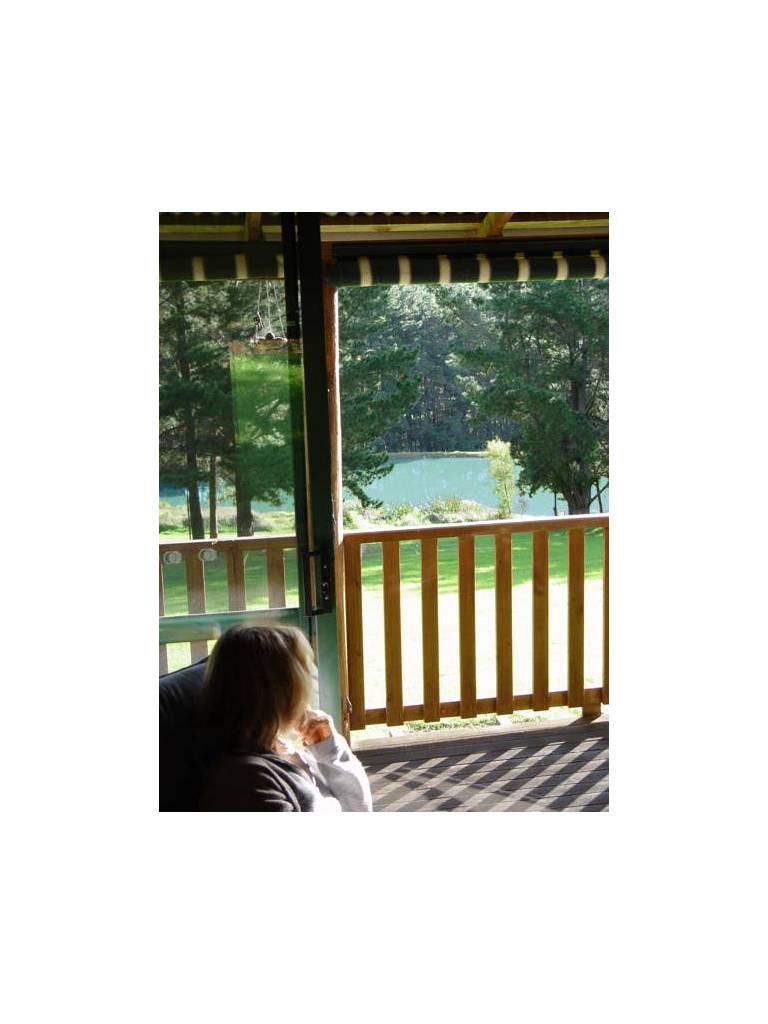 Hawke Brook Chalets