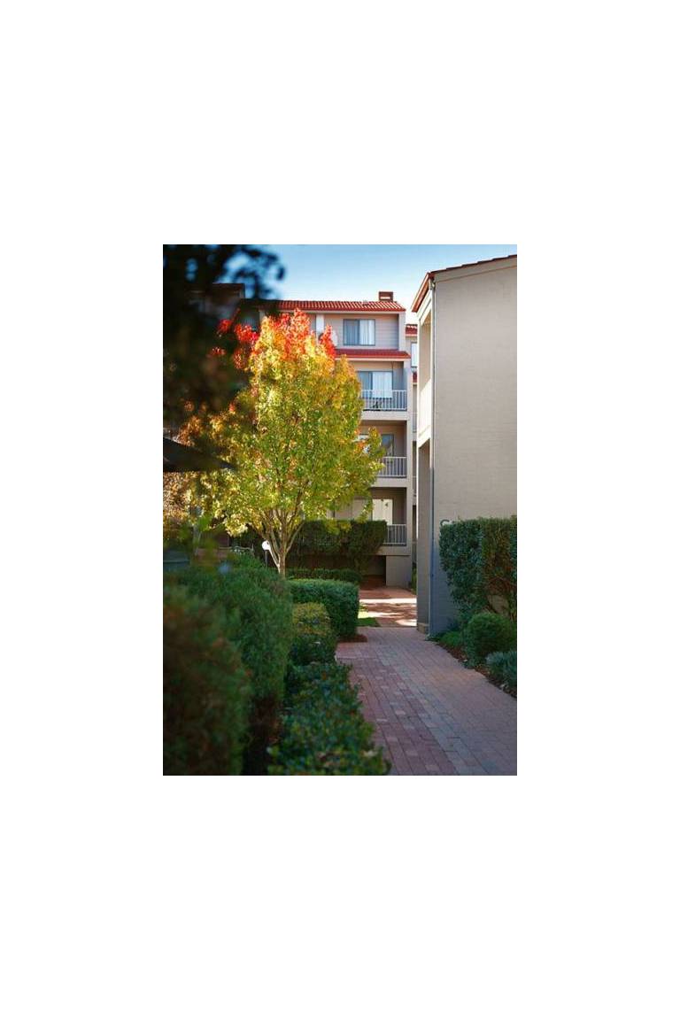 Pinnacle Apartments