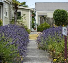 Туры в Cornwall Park Motel  в Новой Зеландии