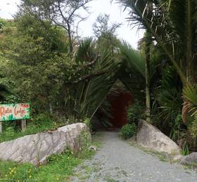 Te Nikau Retreat  в Пунакаики