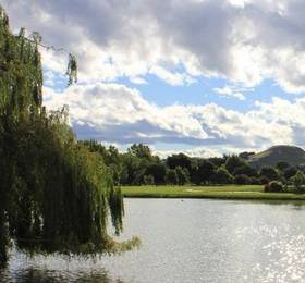 Parkside Lodge  в Нейпире
