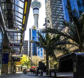 Отдых в Base Auckland  - Новая Зеландия, Окленд
