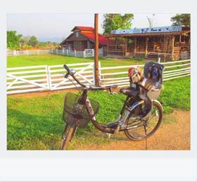 Romance - Another Story in Pai в Пае