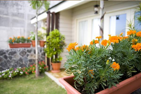 Joaquins Bed and Breakfast Филиппины, Тагайтай