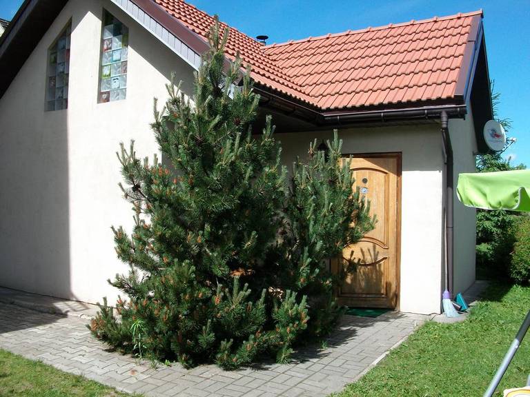 Holiday Village Apartments 