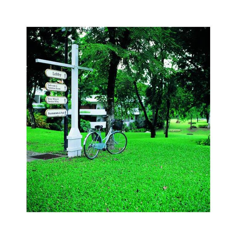 Comsaed River Kwai Resort 