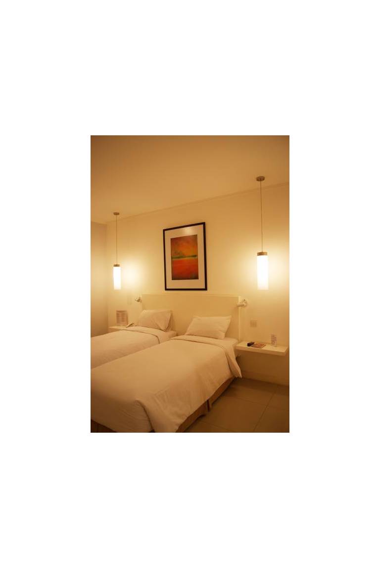 The Plaza Hotel Glodok