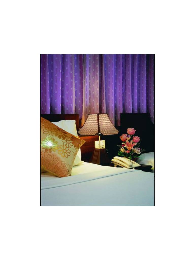 Queen Lotus Guesthouse 