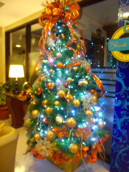 Home Crest Residences  3*