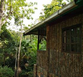 Туры в Sepilok Jungle Resort, Sandakan в Малайзии