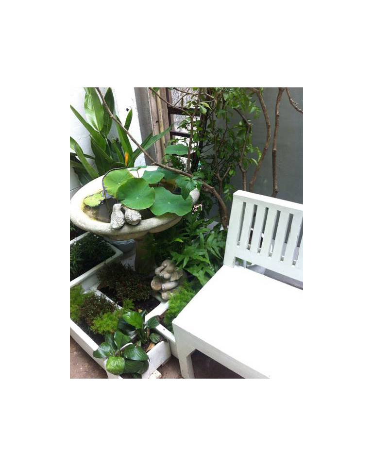 Littlest Guesthouse 