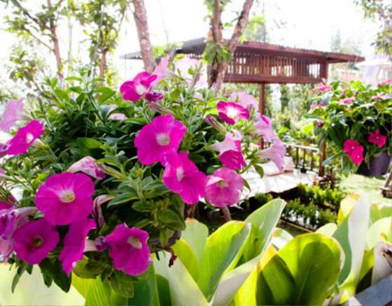Pai Waan Resort 2* Таиланд, Пай