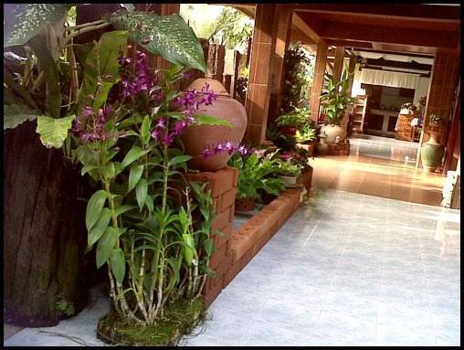 Baifern Homestay 2* Таиланд, Аюттхая