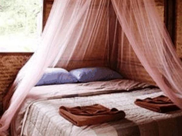 Baan Pai Dao  2* Таиланд, Пай