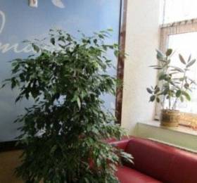 Hotel Angel  в Новосибирске