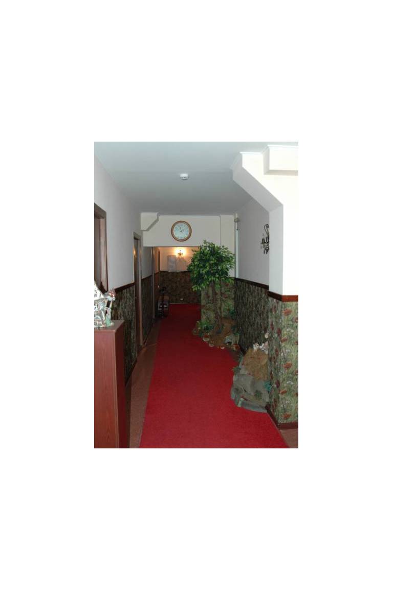 Vega Hotel
