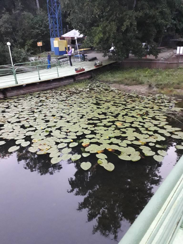 Гостиница Сфера