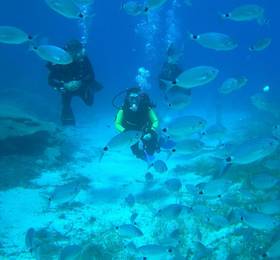 Туры в Malama Beach Holiday Village  в Кипре