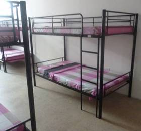 Туры в Hotel y Hostel White Lion  в Панаме