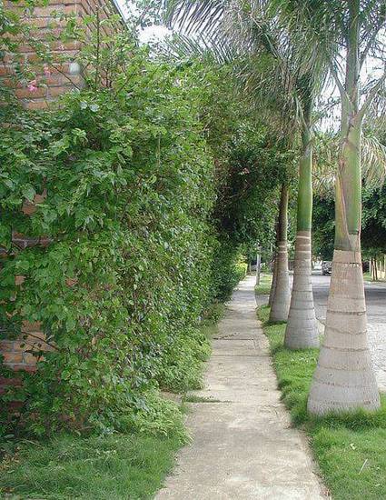 Hostal Real - Los Robles  3* Никарагуа, Манагуа