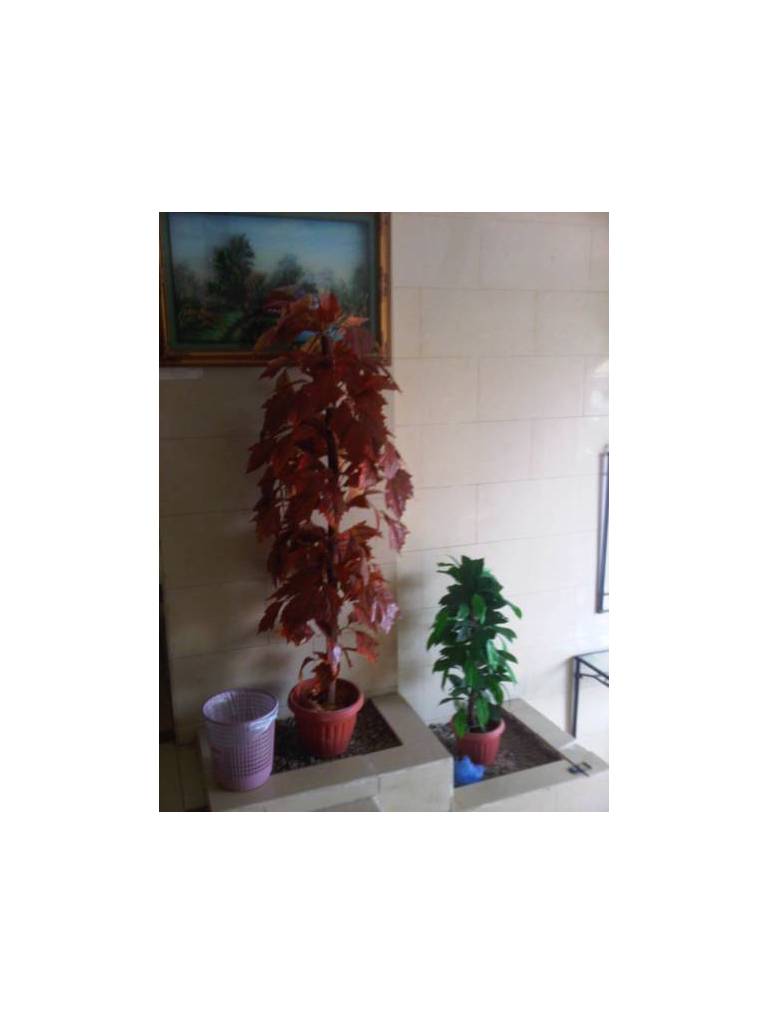 Masaken Al Rawdah 1 