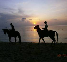 Туры в Sunset on the Beach  в Ямайке